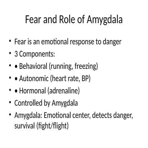 Amygdala | PPTX