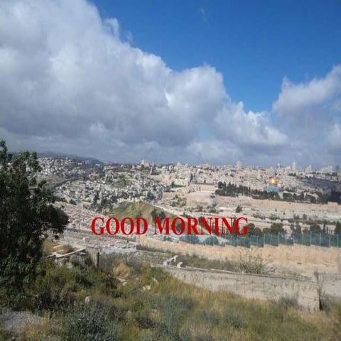 fear and its mnagement