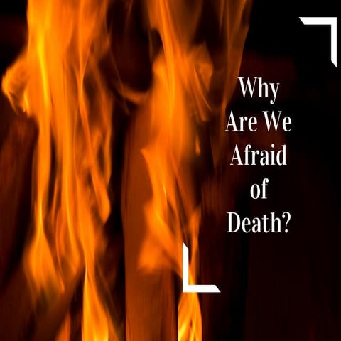Why Are We Afraid of Death?