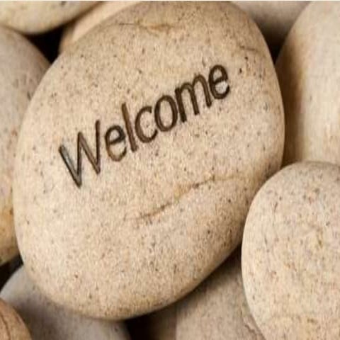 Business Feasibility Study 