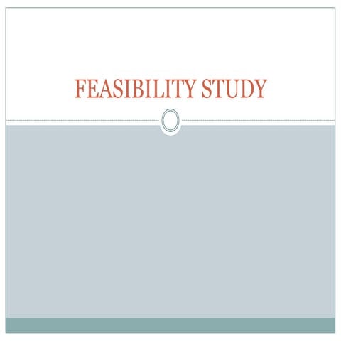 Feasibility study