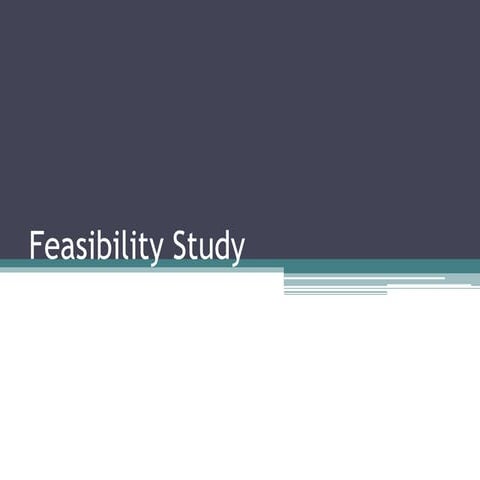 Feasibility study