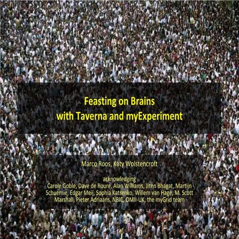 Feasting onbrainswithworkflows