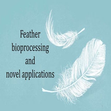 Feather Bioprocessing and novel applications.pptx