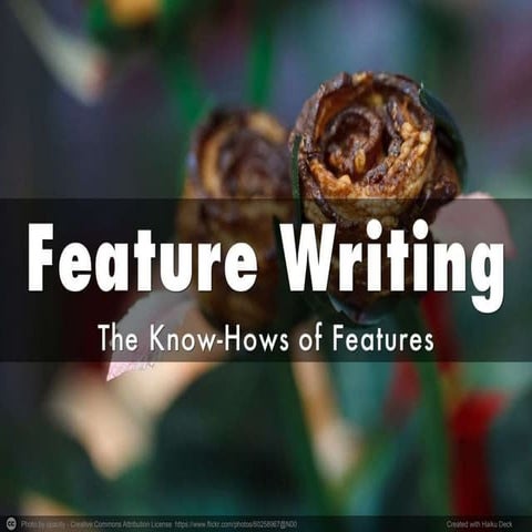 Feature writing