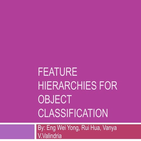 Feature Hierarchies for Object Classification 