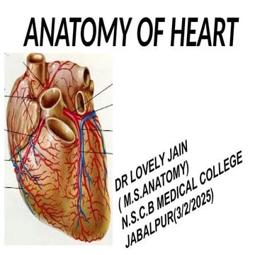 feature of grgegergregregregergre Heart.pptx