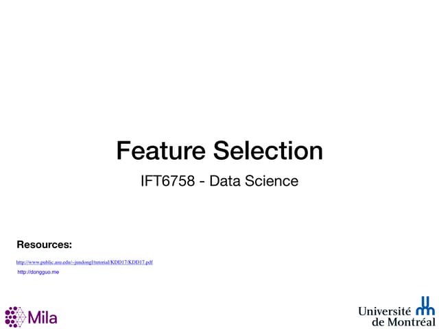 Feature Selection.pdf