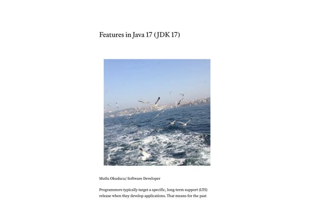 Java 17