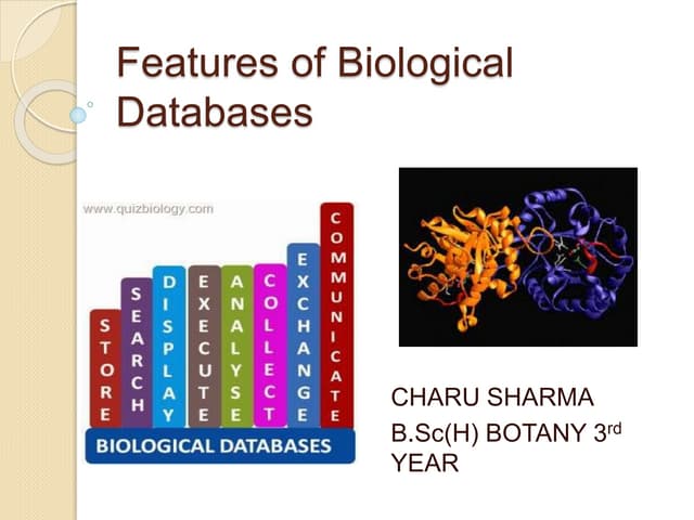 Features of biological databases