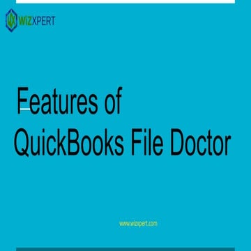 How to Reduce QuickBooks File Size: A Data Condensing Guide | PDF