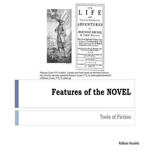 Features of the novel