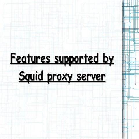 Features supported by squid proxy server