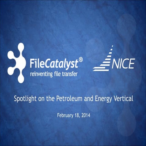 Spotlight on the petroleum and energy vertical 