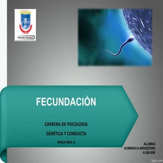 Fecundación 