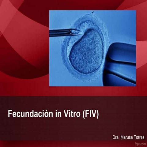 Fecundación in vitro