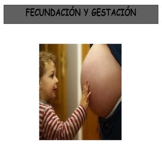 Fecundación y gestación 4to. sec.