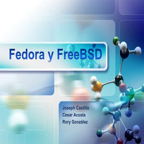 Berkeley software distribution (BSD) | PPTX