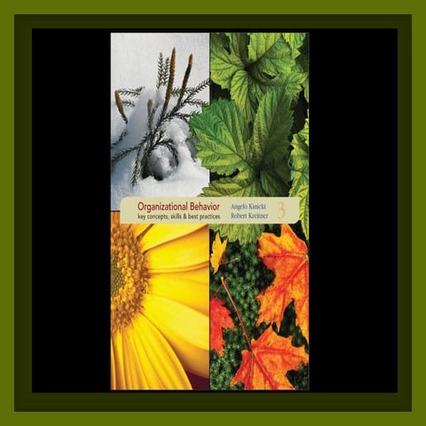 Feedback & rewards and etc...