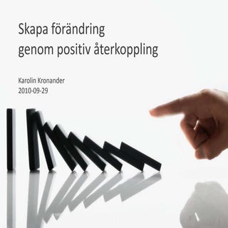 Feedback sem 2009 09-29 karolin kro...