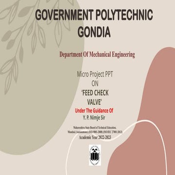 FEED CHECK VALVE ENGINEERINGFEED CHECK VALVE ENGINEERING