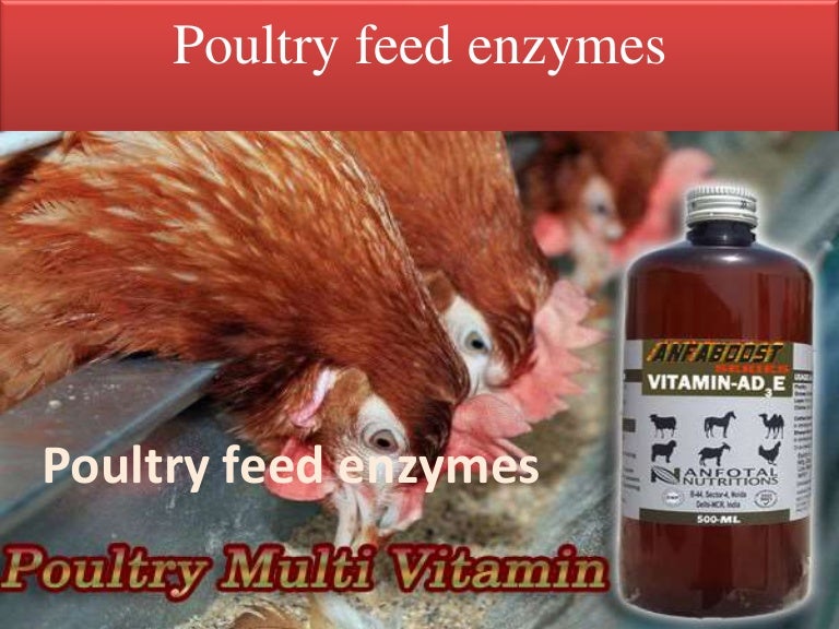 Feed enzymes