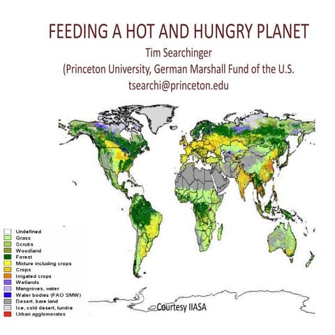 Feeding A Hot And Hungry Planet   Tim Searchinger