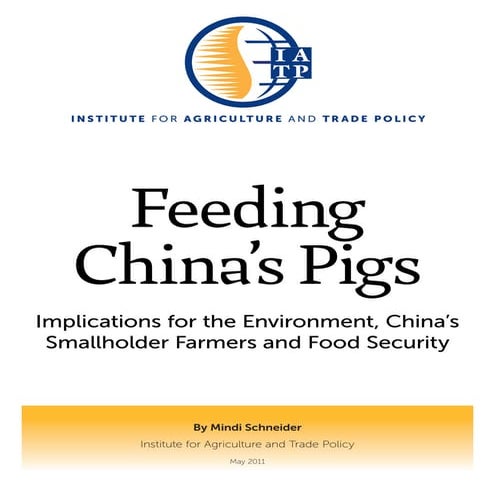 Feeding China’s Pigs