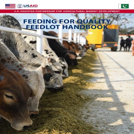 Feeding for quality feedlot handbook for pakistan 