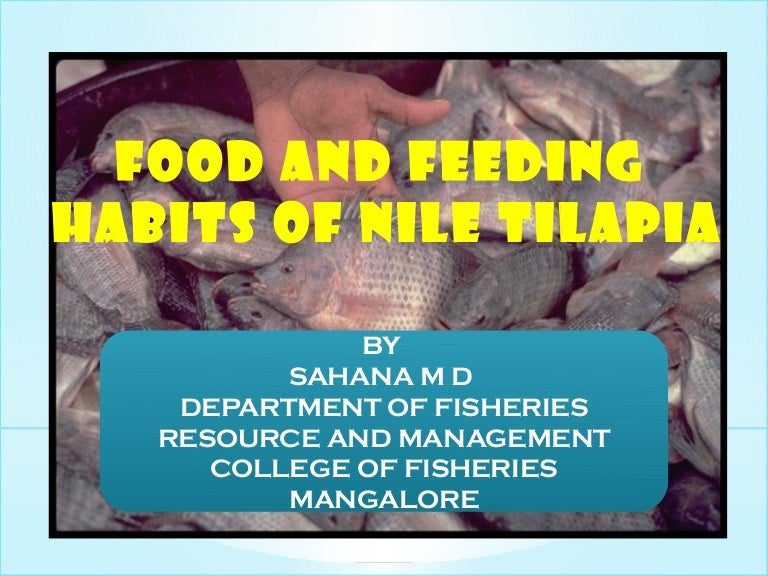 FOOD AND FEEDING OF TILAPIA