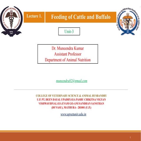 Feeding of cattle and buffalo by dr. muneendra sir.pdf