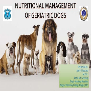 View of Feeding of geriatric dogs ppt2.pptx