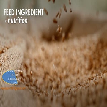 Feed ingredient.pdf