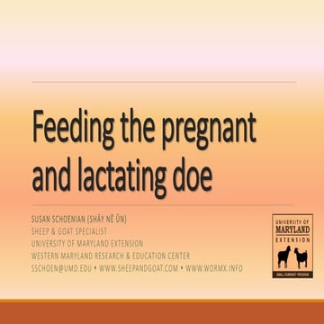 Feeding the pregnant and lactating doe