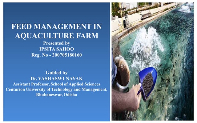 Feed management in aquaculture farm