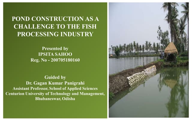Pond construction as a challenge for fish processing industry