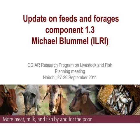 Update on feeds and forages component 1.3