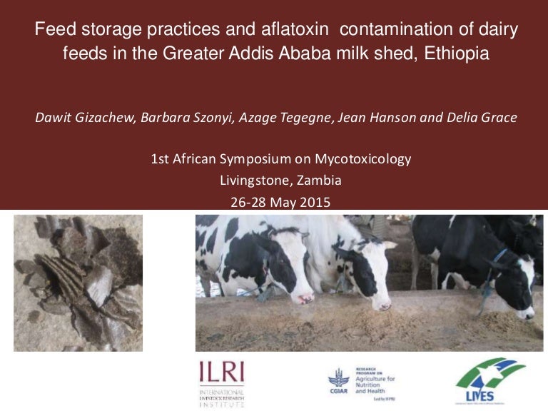 Feed storage practices and aflatoxin contamination of dairy feeds in