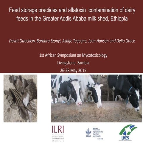 Feed storage practices and aflatoxin contamination of dairy feeds in the Grea...