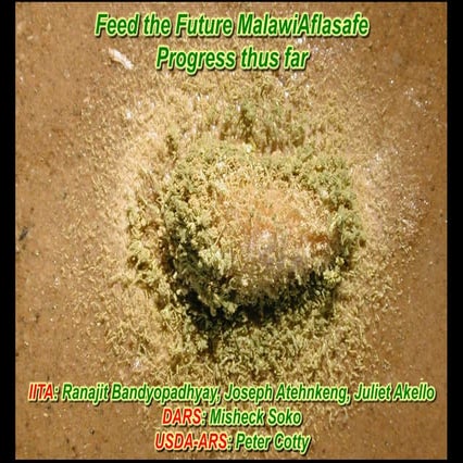 Feed the Future Malawi - progress thus far