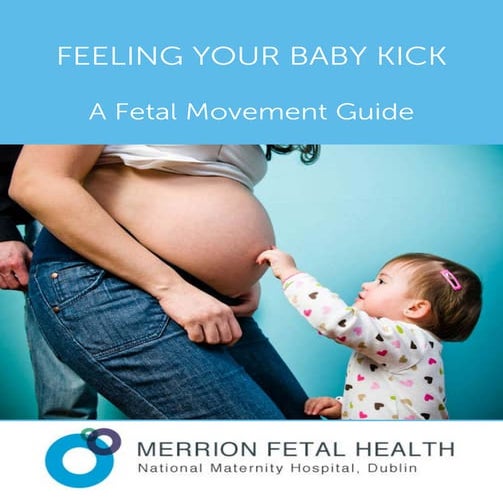 Feeling your baby kick a fetal movement guide PDF