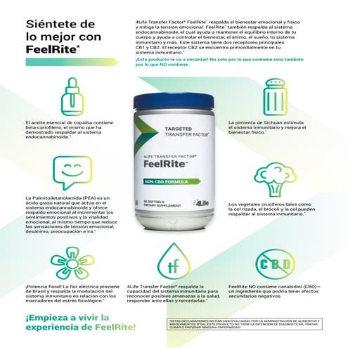 Siéntete de lo mejor con FeelRite | PDF