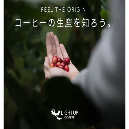 Feel the origin - コーヒーの生産を知ろう