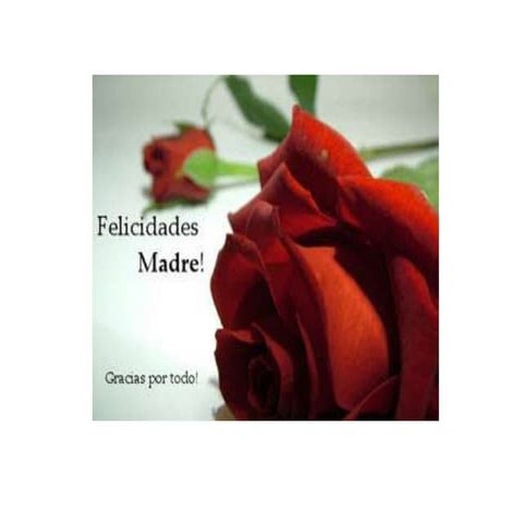 Felicidades en su dia madres