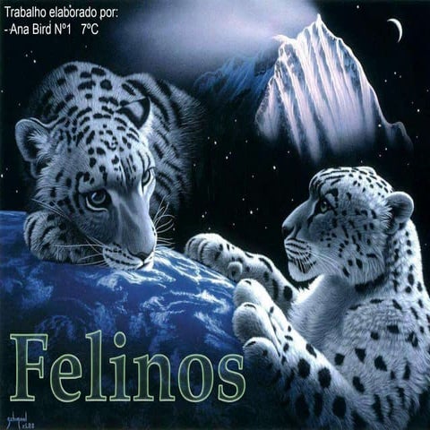 Felinos