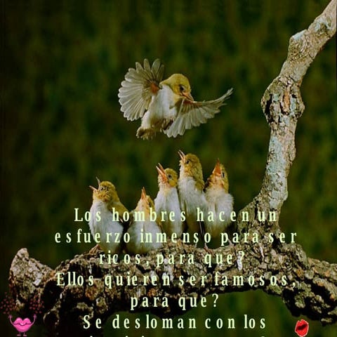 Feliz Dia De La Mujer