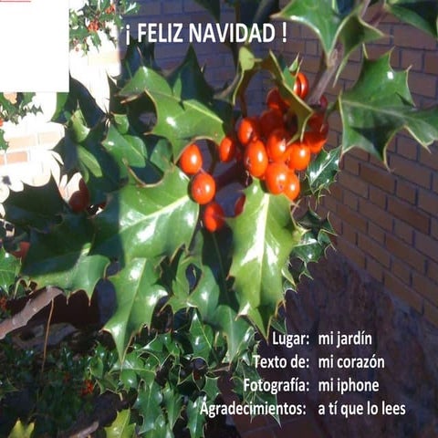 Feliz Navidad Tu Coach Es