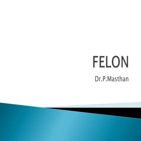 Felon