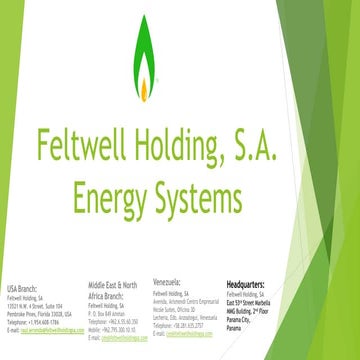 Feltwell Holding SA Profile