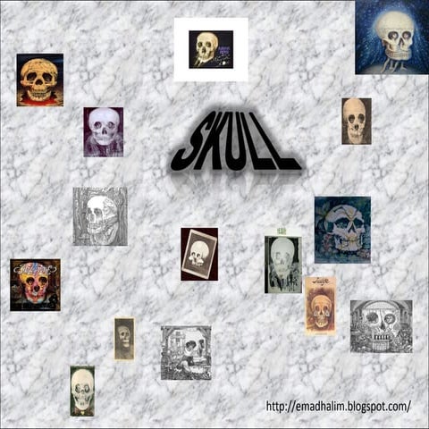 Skull illusion